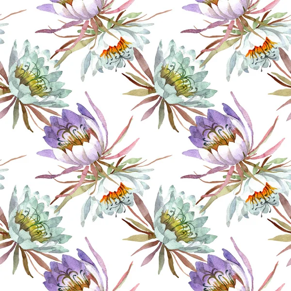 Beyaz epifilofal oxypetallim çiçek botanik çiçekler. Suluboya illüstrasyon seti. Kesintisiz arka plan deseni.