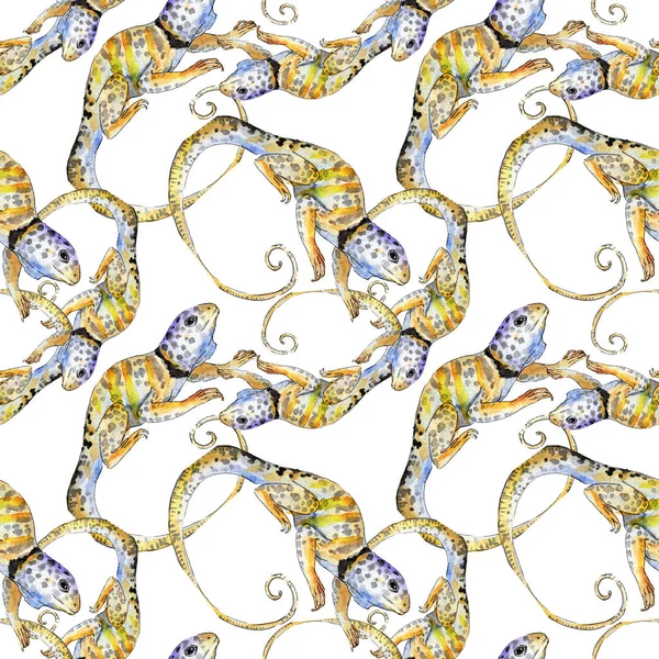 Iguane exotique animal sauvage. Ensemble d'illustration de fond aquarelle. Modèle de fond sans couture . — Photo