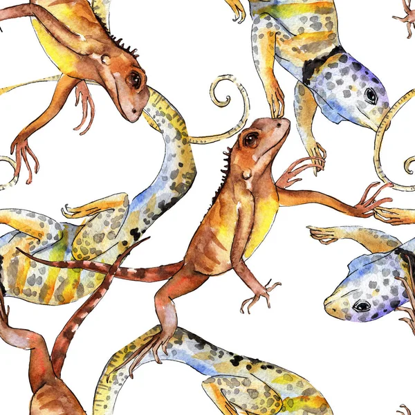 Iguana exótica animal selvagem. Conjunto de ilustração de fundo aquarela. Padrão de fundo sem costura . — Fotografia de Stock