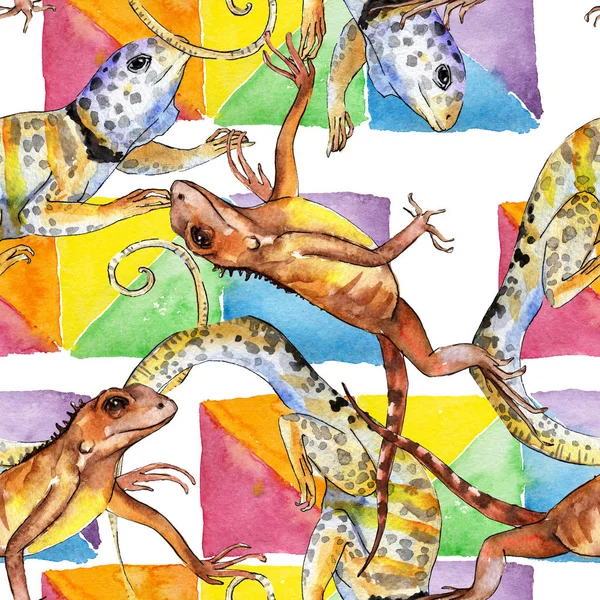 Iguana exótica animal selvagem. Conjunto de ilustração de fundo aquarela. Padrão de fundo sem costura . — Fotografia de Stock