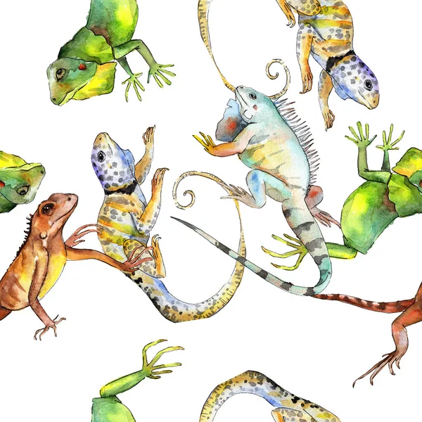 Iguana exótica animal selvagem. Conjunto de ilustração de fundo aquarela. Padrão de fundo sem costura . — Fotografia de Stock