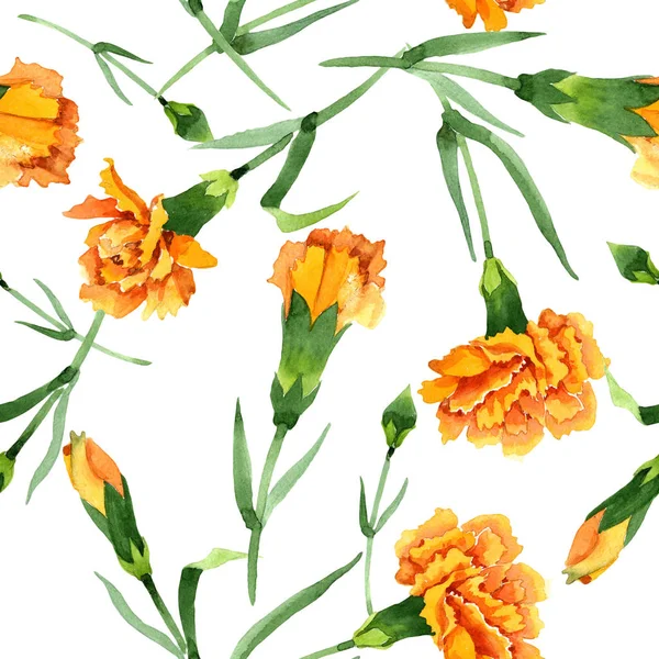 Sarı dianthus çiçek botanik çiçekler. Suluboya arka plan illüstrasyon seti. Kesintisiz arka plan deseni.