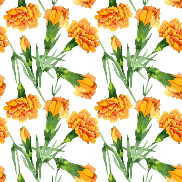 Sarı dianthus çiçek botanik çiçekler. Suluboya arka plan illüstrasyon seti. Kesintisiz arka plan deseni.