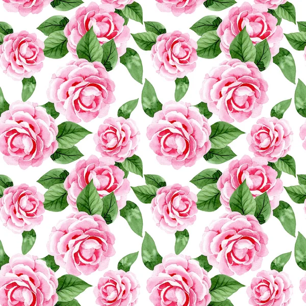 Camélia rosa flores botânicas florais. Conjunto de ilustração de fundo aquarela. Padrão de fundo sem costura . — Fotografia de Stock