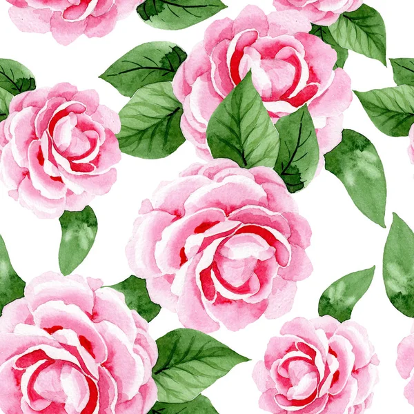 粉红色山茶花植物花。水彩背景插图集。无缝背景模式. — 图库照片