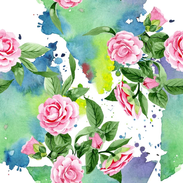 Rosa camelia flores botánicas florales. Conjunto de ilustración de fondo acuarela. Patrón de fondo sin costuras . — Foto de Stock