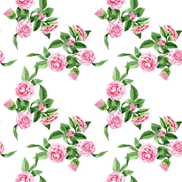 粉红色山茶花植物花。水彩背景插图集。无缝背景模式. — 图库照片