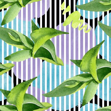 Bambu yeşil yaprakları. Suluboya arka plan illüstrasyon seti. Kesintisiz arka plan deseni.