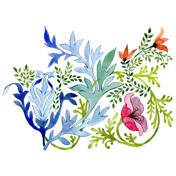 オルナムトンの花の植物の花。●水彩背景イラストセット。分離された装飾品イラスト要素. — ストック写真