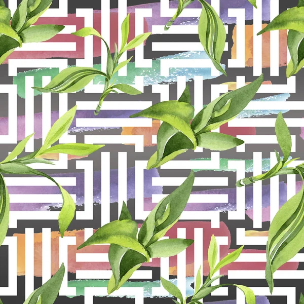 Bambu yeşil yaprakları. Suluboya arka plan illüstrasyon seti. Kesintisiz arka plan deseni.