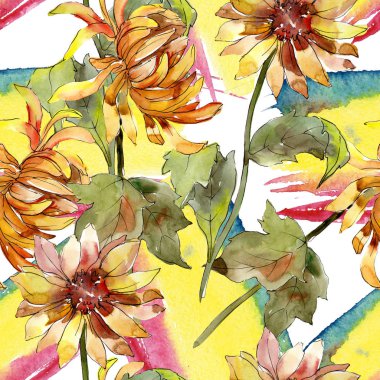 Mishaelmas papatya çiçek botanik çiçekler. Suluboya arka plan illüstrasyon seti. Kesintisiz arka plan deseni.