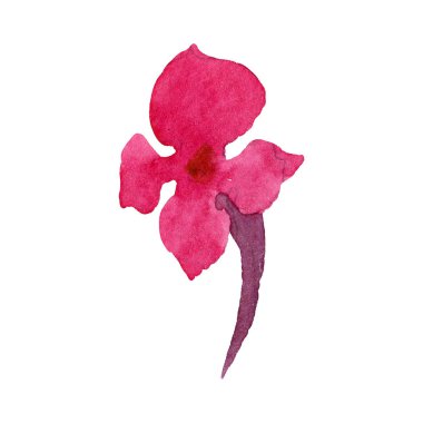 Lantana çiçek botanik çiçekleri. Suluboya arka plan illüstrasyon seti. İzole lantana illüstrasyon elemanı.