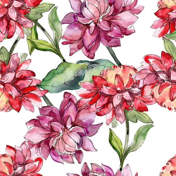 Mishaelmas papatya çiçek botanik çiçekler. Suluboya arka plan illüstrasyon seti. Kesintisiz arka plan deseni.