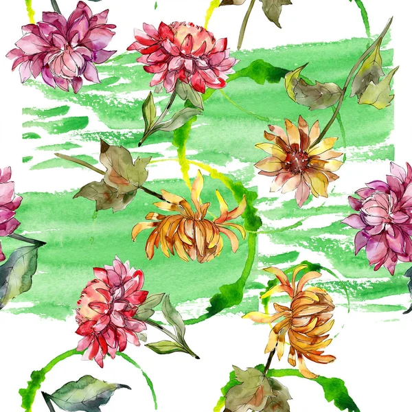 Mishaelmas daisy floral botanical flowers. Watercolor background illustration set. Seamless background pattern. — Stock Photo, Image