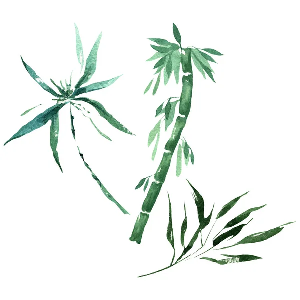 Bambusowe zielone liście i łodygi. Akwarela zestaw ilustracji tła. Na białym tle bambus element ilustracji. — Zdjęcie stockowe