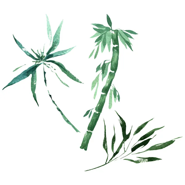 Bambu gröna blad och stjälkar. Akvarell bakgrund illustration uppsättning. Isolerad bambu illustration element. — Stockfoto