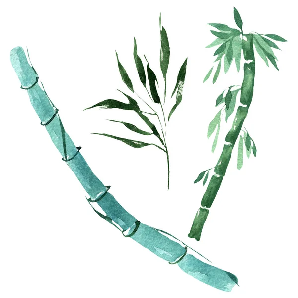 Bamboe groene bladeren en stengels. Aquarel achtergrond illustratie instellen. Geïsoleerde bamboe illustratie element. — Stockfoto