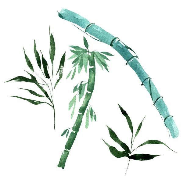 Foglie e steli di bambù verde. Acquerello sfondo illustrazione set. Elemento di illustrazione di bambù isolato . — Foto Stock