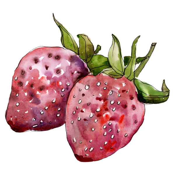 Erdbeere gesunde Nahrung in einem Aquarell-Stil isoliert. Aquarell hinterlegt. isolierte Beerenillustration Element. — Stockfoto