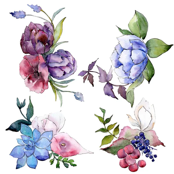 Boeket bloemen botanische bloemen. Aquarel achtergrond illustratie instellen. Geïsoleerde boeketten illustratie element. — Stockfoto