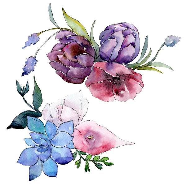 Buquê flores botânicas florais. Conjunto de ilustração de fundo aquarela. Isolados buquês elemento ilustrativo . — Fotografia de Stock