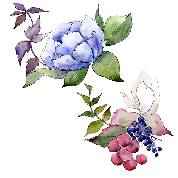 Ramo de flores botánicas florales. Conjunto de ilustración de fondo acuarela. Ramos aislados elemento de ilustración . — Foto de Stock