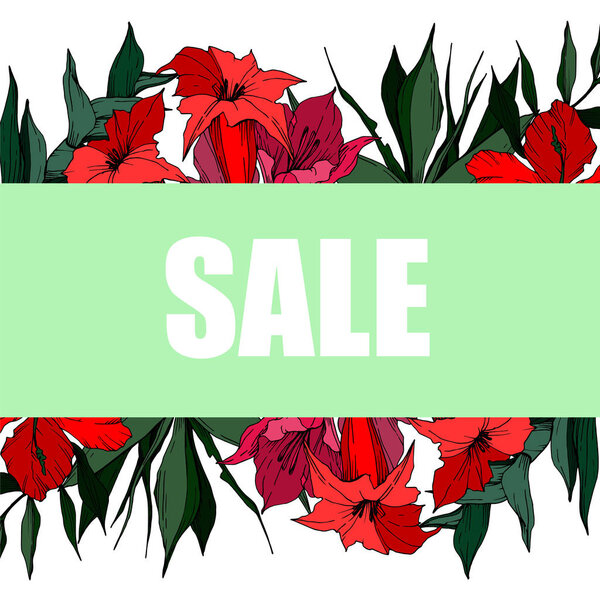 Векторные тропические цветы и листья изолированы. Черно-белый рисунок чернил. Граничный орнамент
.