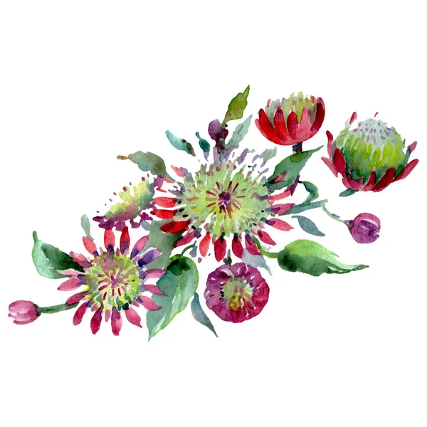 Buchet flori florale botanice. Set de ilustrații de fundal acuarelă. Element de ilustrare a buchetului izolat . — Fotografie, imagine de stoc
