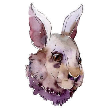 Tavşan baş çiftlik hayvan izole. Suluboya arka plan illüstrasyon seti. İzole tavşan illüstrasyon elemanı.