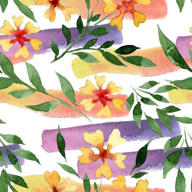 Süs Çiçek Botanik çiçekler. Suluboya arka plan illüstrasyon küme. Sorunsuz arka plan deseni.