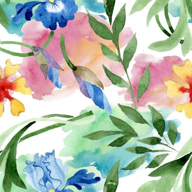 Süs Çiçek Botanik çiçekler. Suluboya arka plan illüstrasyon küme. Sorunsuz arka plan deseni.