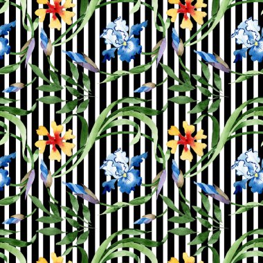 Süs Çiçek Botanik çiçekler. Suluboya arka plan illüstrasyon küme. Sorunsuz arka plan deseni.