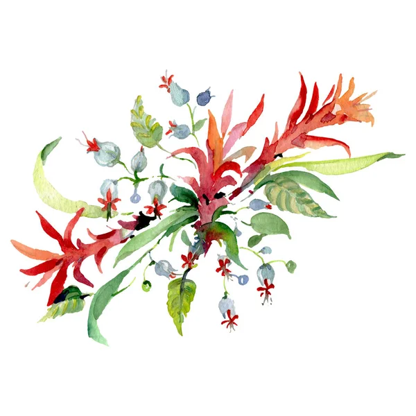 Ramo de flores botánicas florales. Conjunto de ilustración de fondo acuarela. Elemento de ilustración de ramo aislado . — Foto de Stock