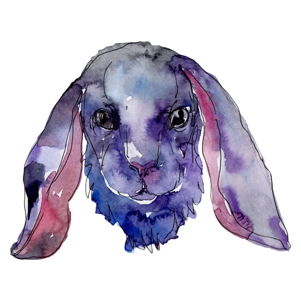 Kanin huvud gård djur isolerade. Akvarell bakgrund illustration uppsättning. Isolerad kanin illustration element. — Stockfoto