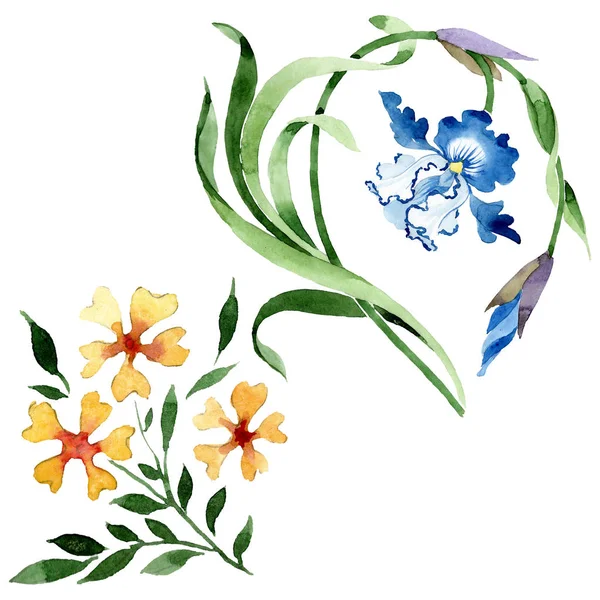 Στολίδι Floral λουλούδια βοτανικής. Σύνολο εικονογράφησης φόντου. Μεμονωμένο στοιχείο απεικόνισης λουλουδιών. — Φωτογραφία Αρχείου