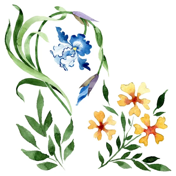装飾花植物の花。●水彩背景イラストセット。孤立した花のイラスト要素. — ストック写真