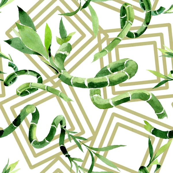 Grön Draceana sanderiana. Akvarell bakgrund illustration uppsättning. Sömlöst bakgrundsmönster. — Stockfoto