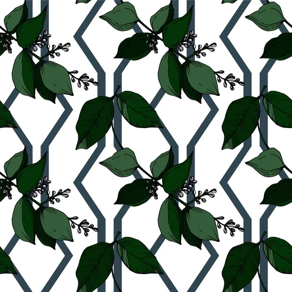 Vettore Fiori tropicali e foglie isolate. Inchiostro inciso in bianco e nero art. Modello di sfondo senza soluzione di continuità . — Vettoriale Stock