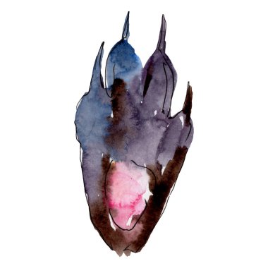 Tavşan toynak çiftlik hayvan izole. Suluboya arka plan illüstrasyon seti. İzole tavşan illüstrasyon elemanı.