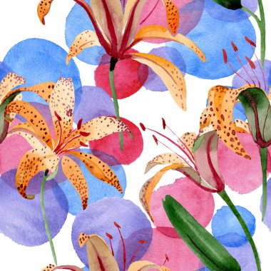 Turuncu lilium maculantum çiçek botanik çiçekler. Suluboya illüstrasyon seti. Kesintisiz arka plan deseni.