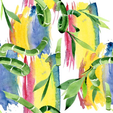 Yeşil Draceana Sanderiana. Suluboya arka plan illüstrasyon seti. Kesintisiz arka plan deseni.