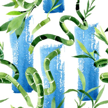 Yeşil Draceana Sanderiana. Suluboya arka plan illüstrasyon seti. Kesintisiz arka plan deseni.