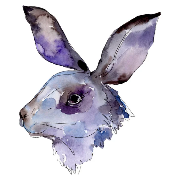 Kanin huvud gård djur isolerade. Akvarell bakgrund illustration uppsättning. Isolerad kanin illustration element. — Stockfoto