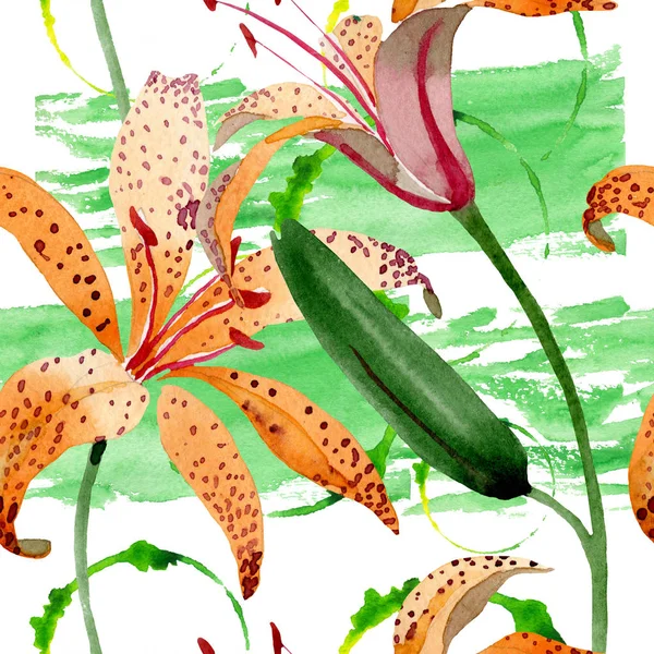 Naranja lilium maculantum flores botánicas florales. Juego de ilustración en acuarela. Patrón de fondo sin costuras . —  Fotos de Stock