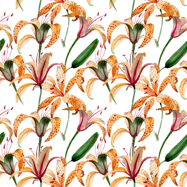 Fiori botanici floreali arancio lilium maculantum. Set illustrazione acquerello. Modello di sfondo senza soluzione di continuità . — Foto Stock