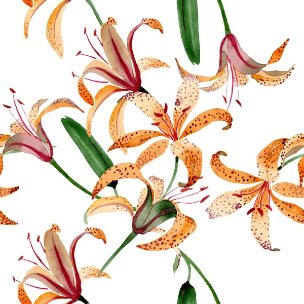 Oranje Lilium maculantum Floral botanische bloemen. Aquarel illustratie set. Naadloos achtergrond patroon. — Stockfoto