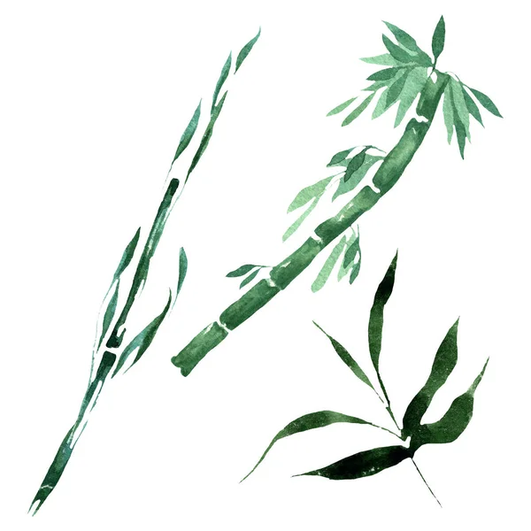 Bambusgrüne Blätter und Stiele. Aquarell Hintergrundillustration Set. isoliertes Bambus-Illustrationselement. — Stockfoto