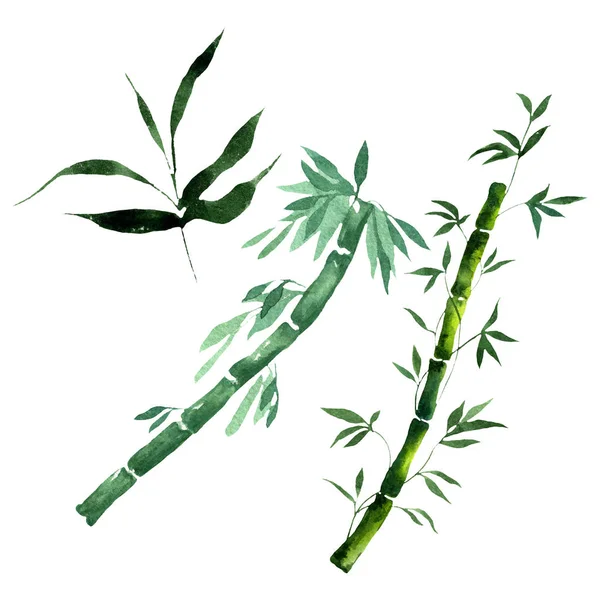 Bambu gröna blad och stjälkar. Akvarell bakgrund illustration uppsättning. Isolerad bambu illustration element. — Stockfoto