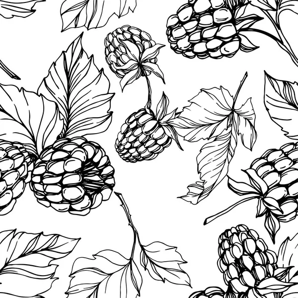 Vector Raspberry alimentos saludables aislados. Tinta grabada en blanco y negro. Patrón de fondo sin costuras . — Vector de stock