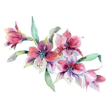 Buket çiçek botanik çiçekler. Suluboya arka plan seti. İzole buketleri illüstrasyon elemanı.